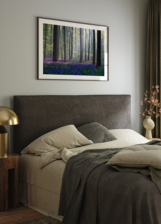 Il poster di Campanula