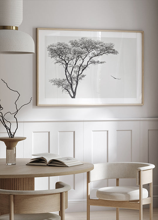 il poster dell'aquila africana