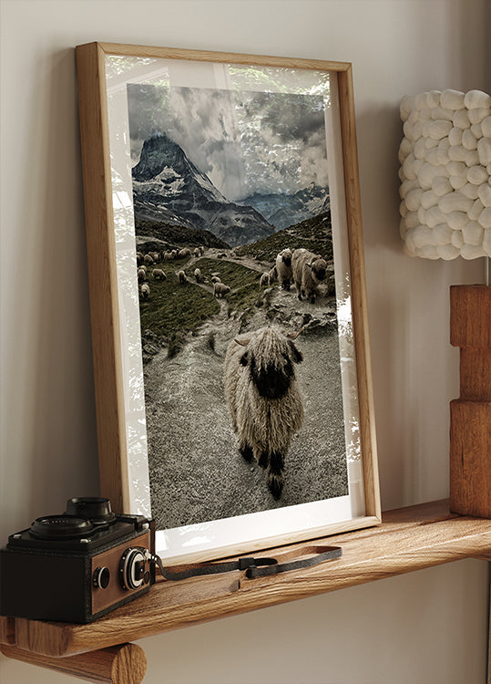 Poster Fuori dai piedi