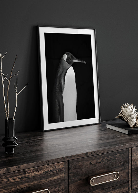 Poster del signor Pinguino