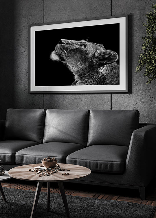 Poster Alzando lo sguardo