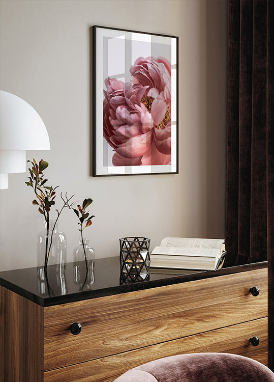 Peonia