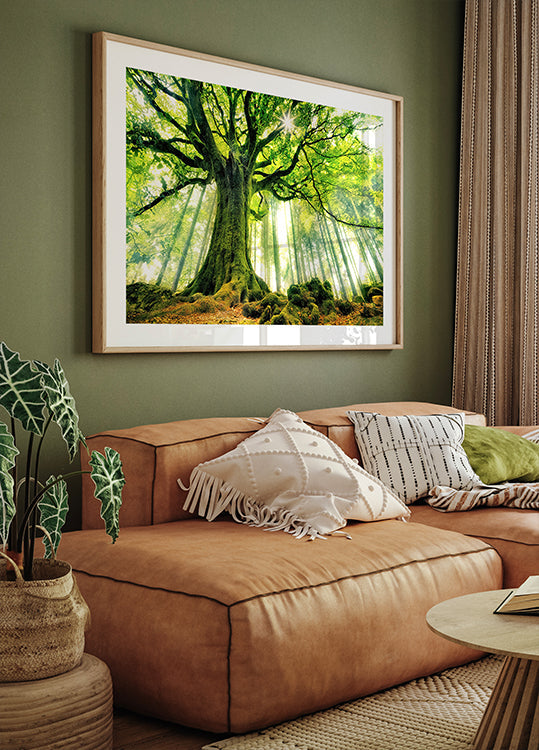 Manifesto in faggio di Ponto