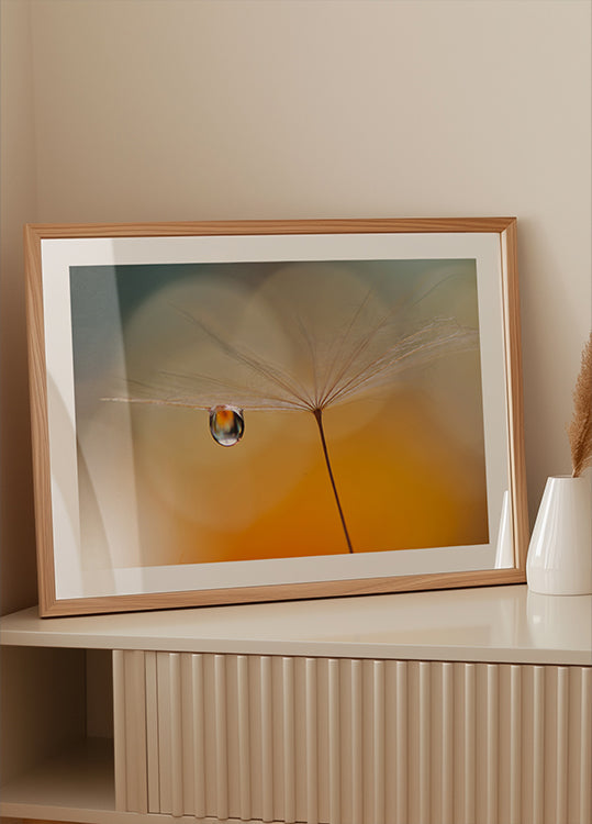 Piccola musica notturna...