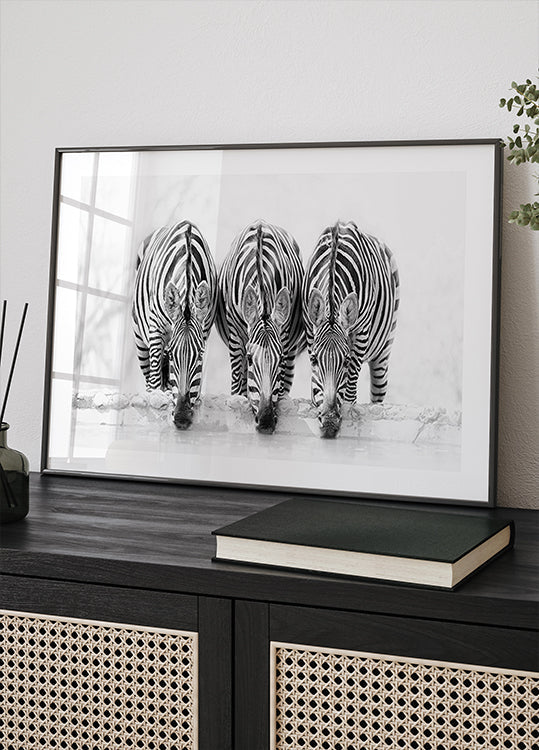 Il manifesto di Zebra
