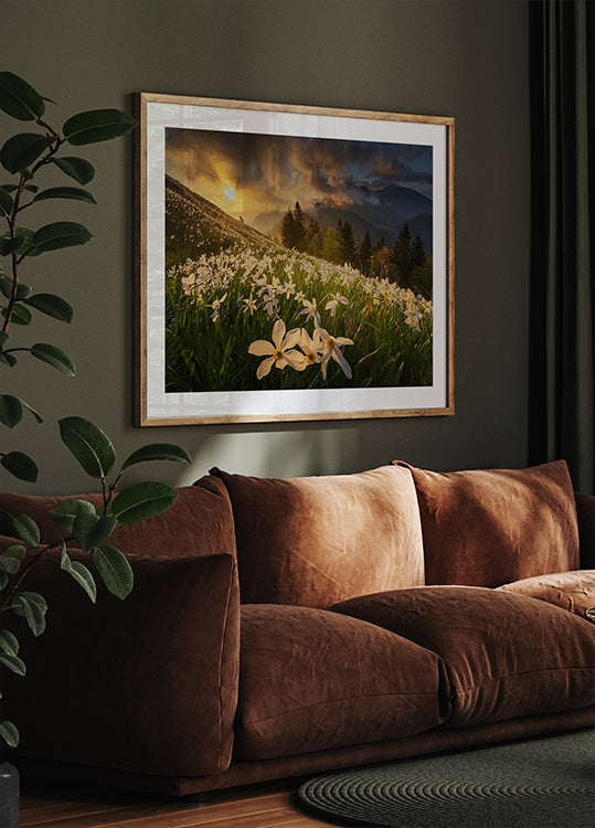 Manifesto del tappeto bianco