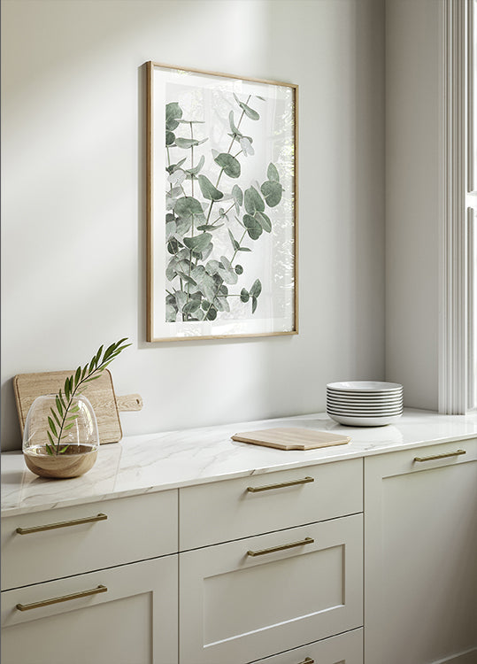 Eucalipto_003 Poster