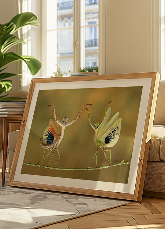 Orario dello spettacolo