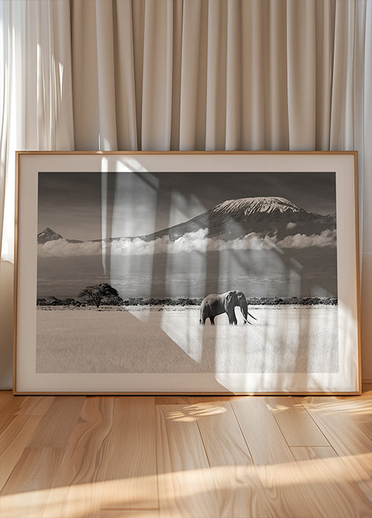 Locandina Colori perduti II