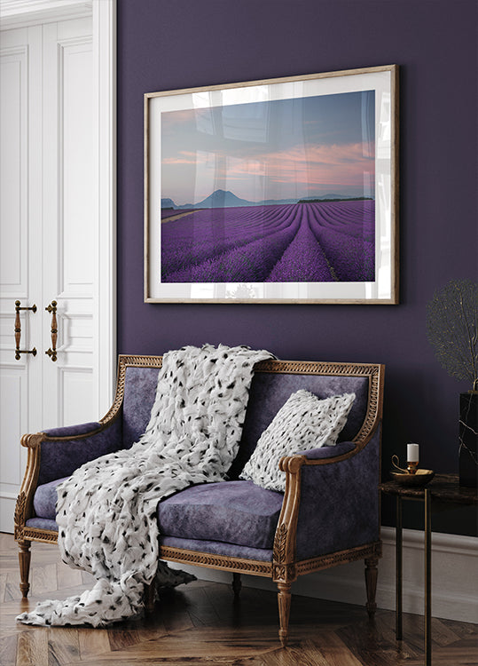 Campo di lavanda