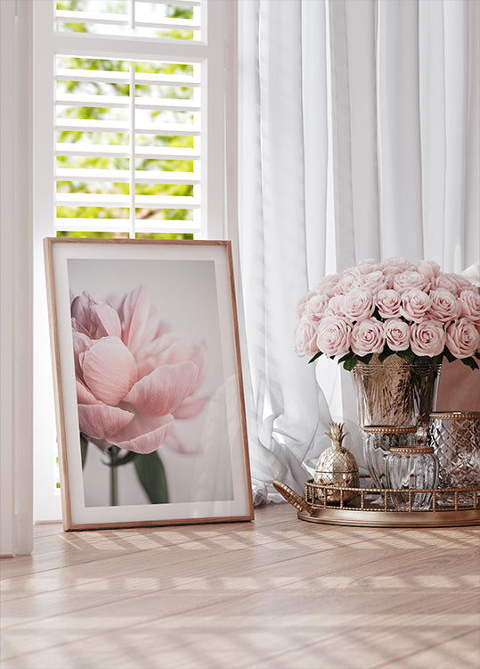 Peonia 3