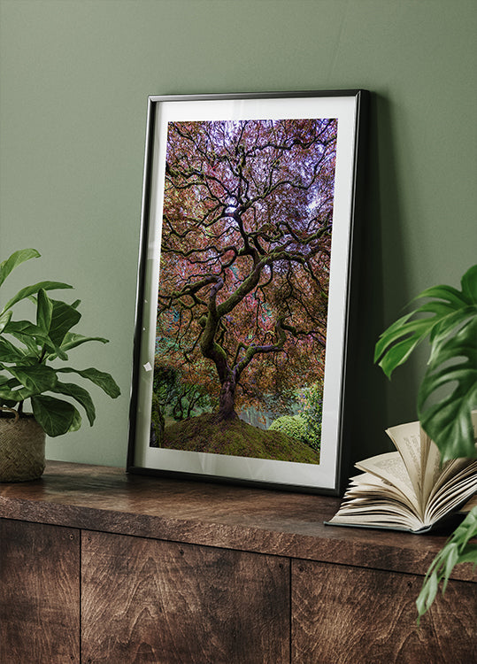 Albero di acero giapponese
