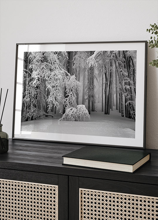 Perfect Winter Plakat