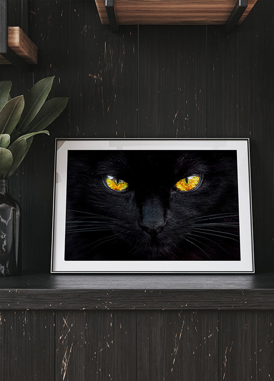 L'ipnotizzatore della notte