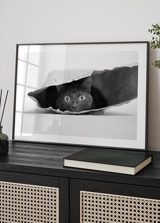 Poster Gatto in una borsa