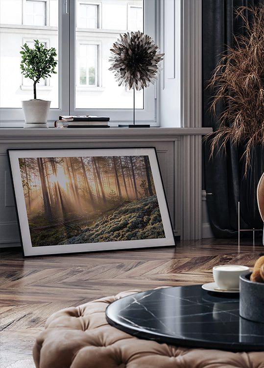 Nebbia nella foresta con muschio bianco in primo piano Poster