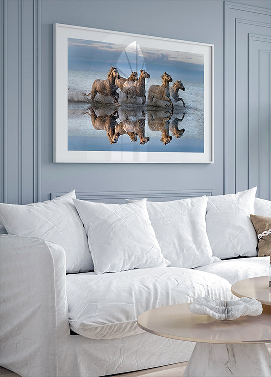 Cavalli e riflessione