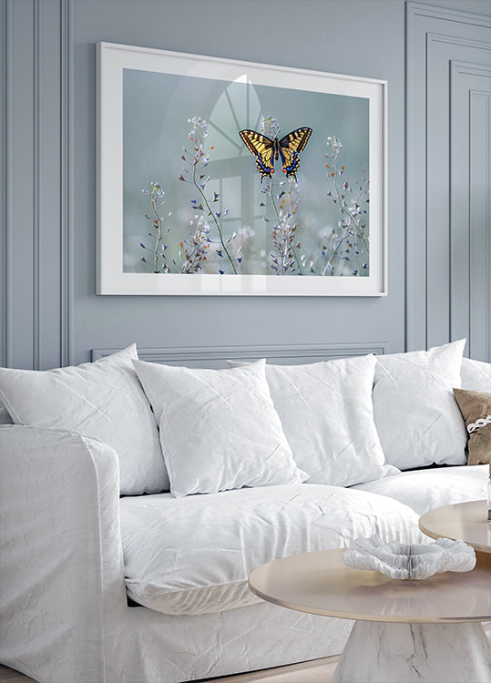 Bellezza a coda di rondine