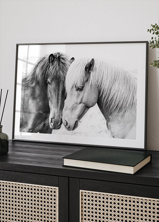 Poster di amore del cavallo