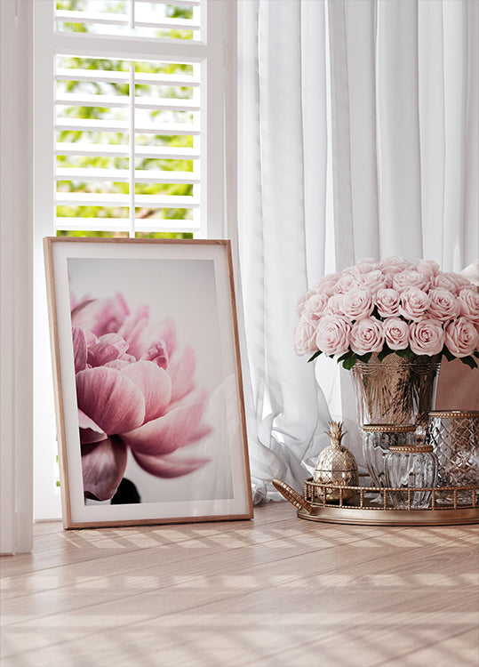 Peonia 1