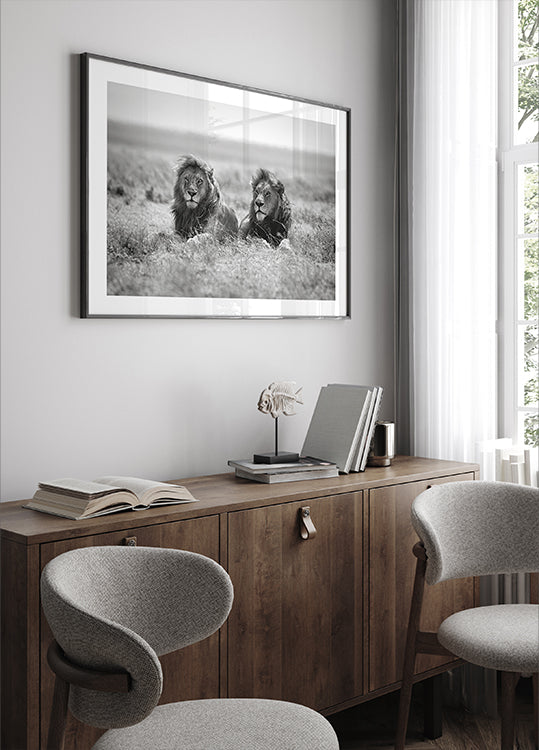 Locandina dei due re