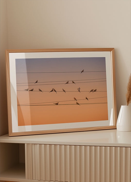 Musica di luce