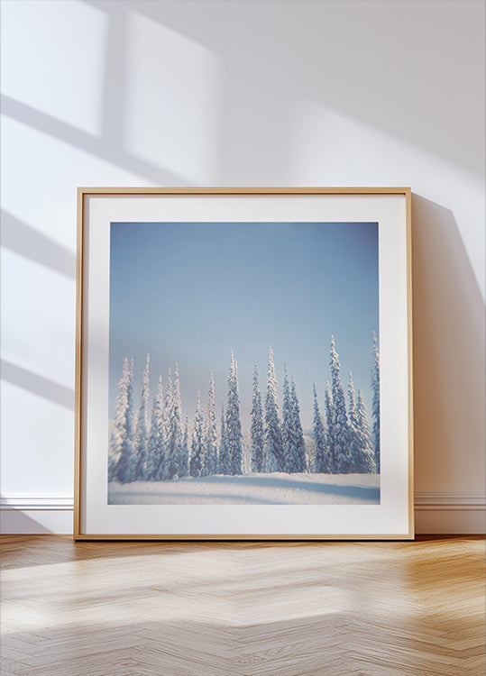 Winter Pines Plakat
