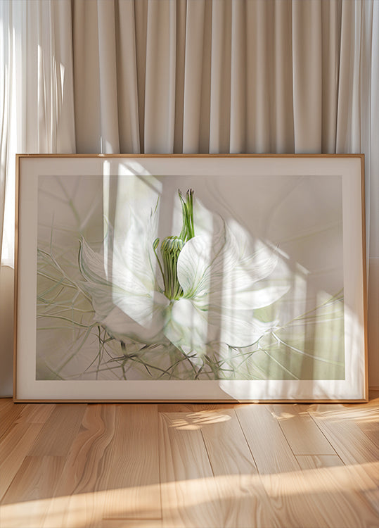 Manifesto di Nigella