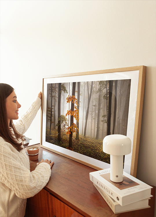 Nella luce di novembre