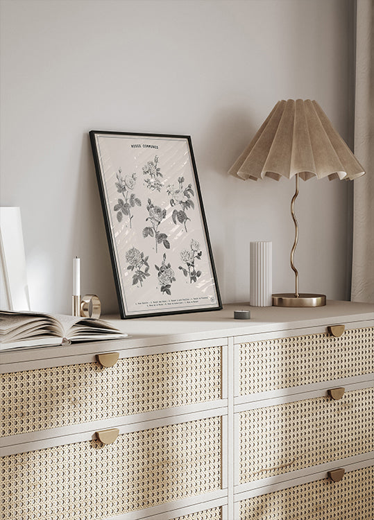 Il manifesto di Rosa