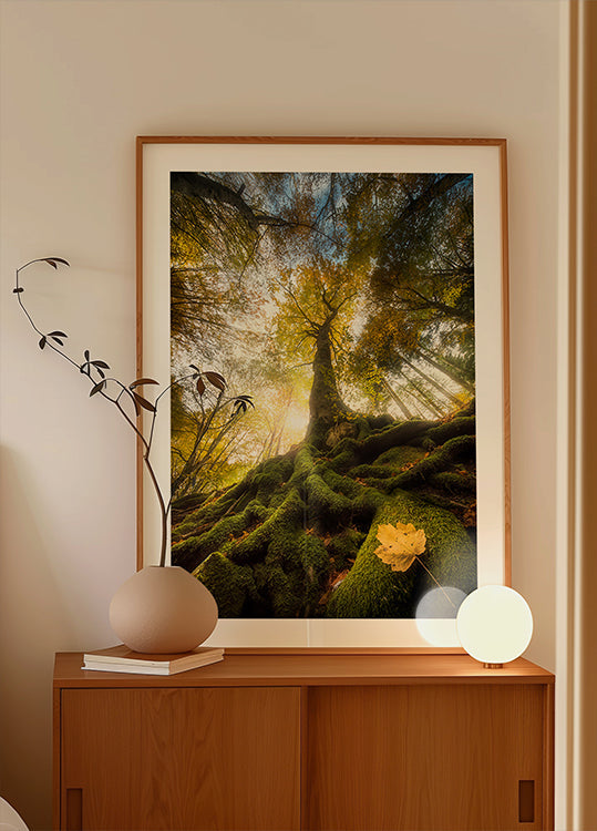 L'addio di una foglia