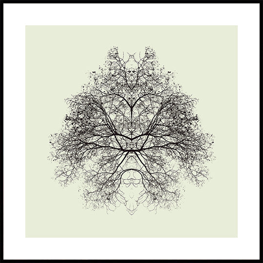 Rorschach Test Plakat - Posterbox