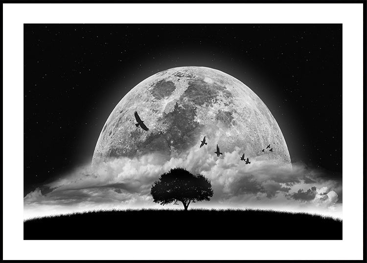 A Dream Plakat - Posterbox