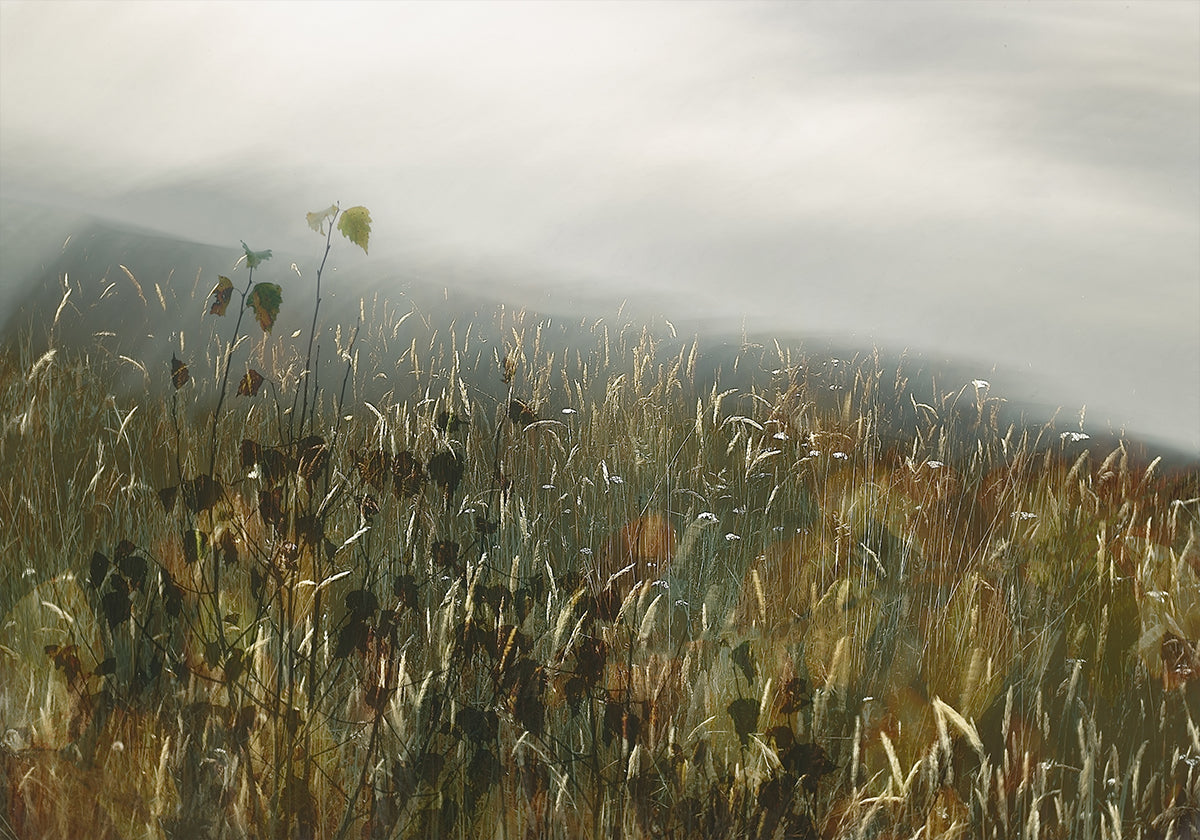 In the field - Posterbox