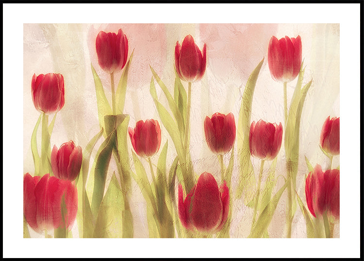 Happy tulips (NEW) - Posterbox