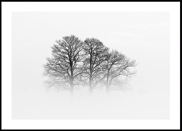 A Hazy Shade of Winter Plakat - Posterbox