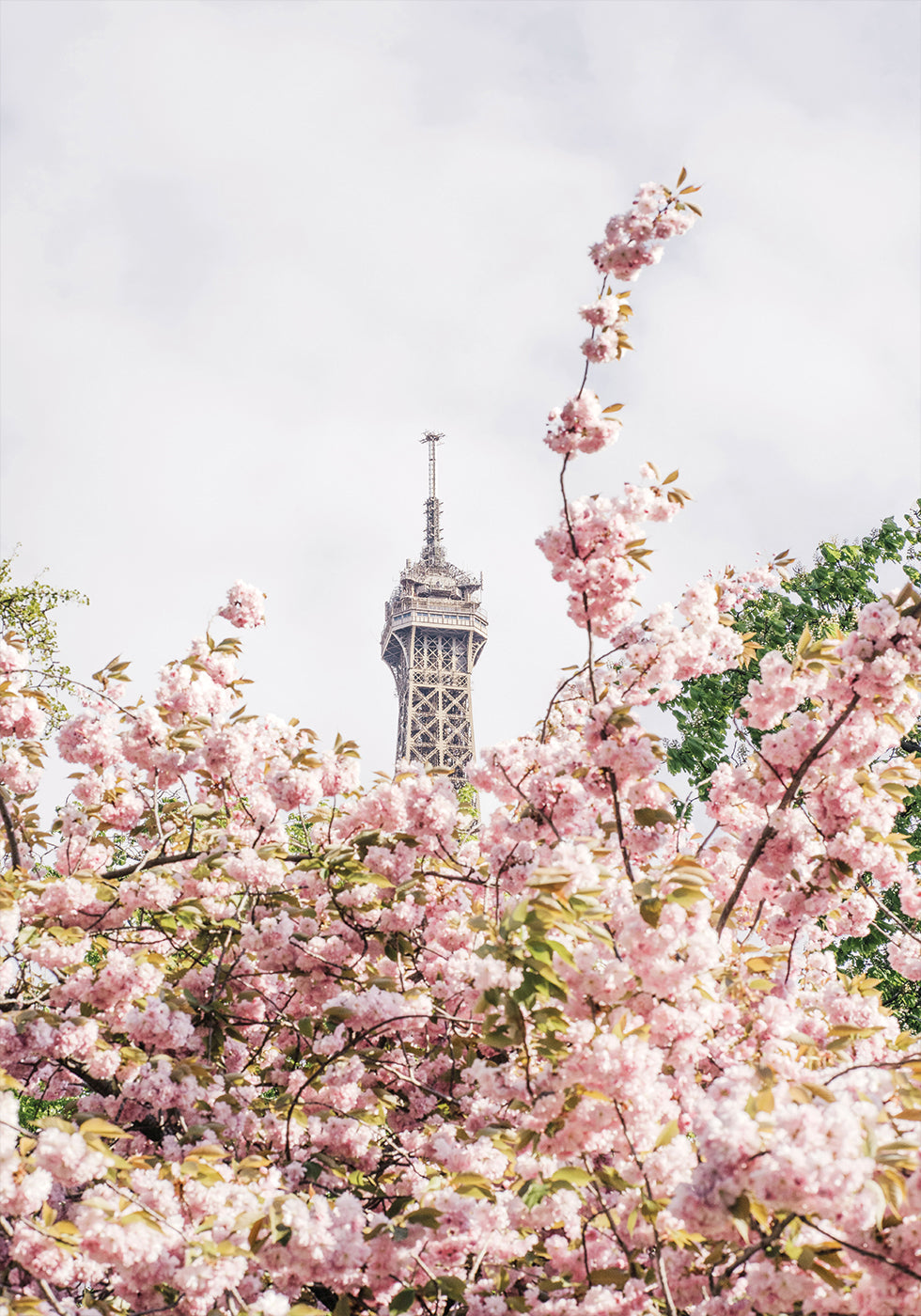 Manifesto di Parigi 