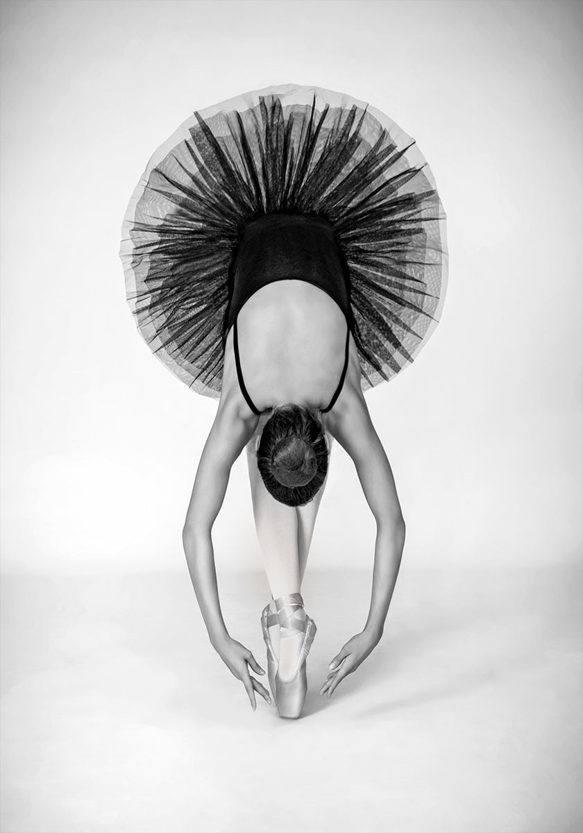 Ballet Technique Plakat