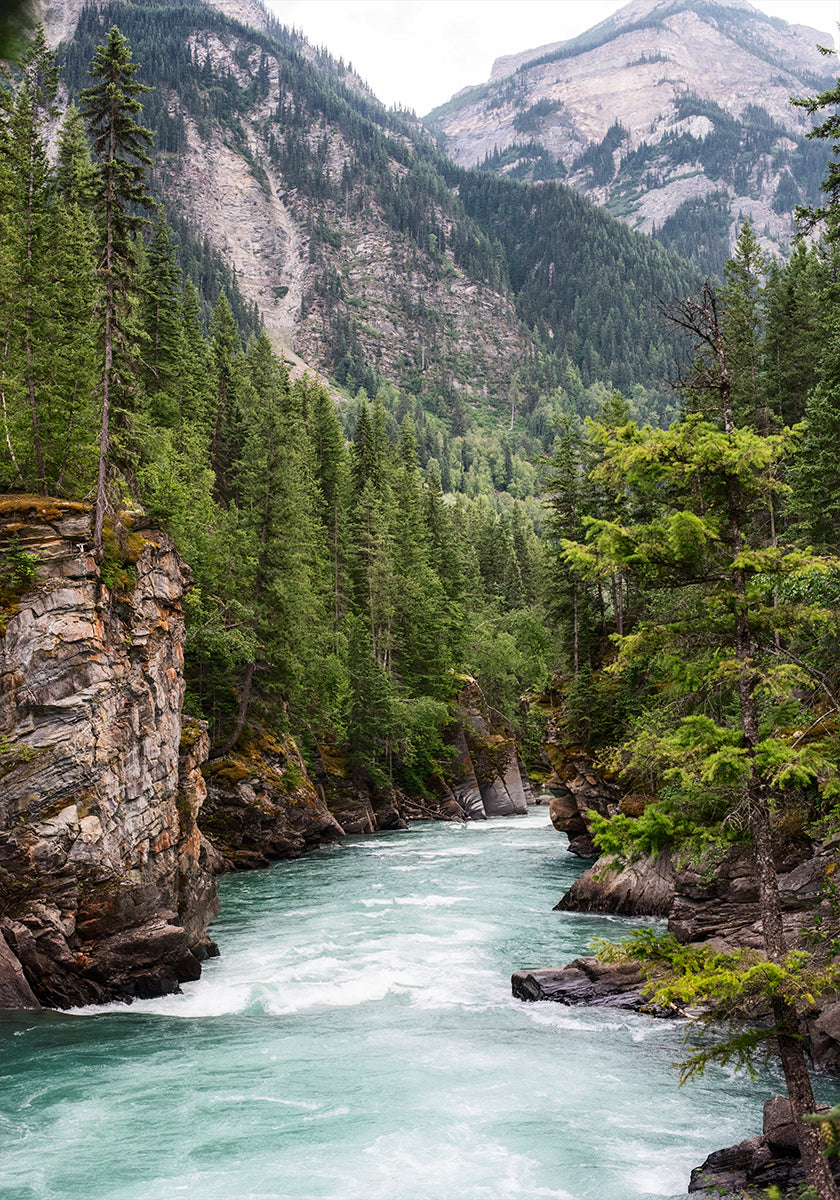Manifesto della gola del fiume