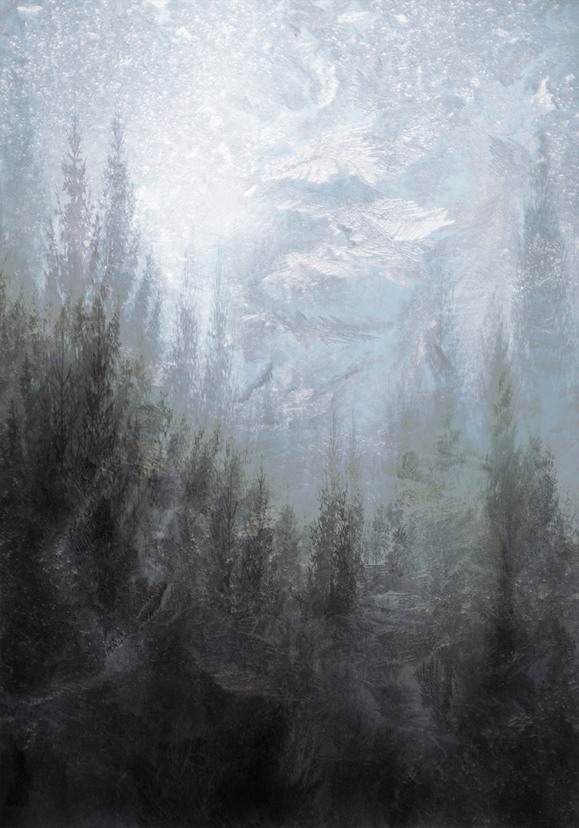 Manifesto della magia invernale