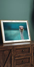 Ostrich Protecting two Poor Chicken from the Wind - Posterbox