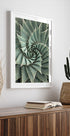 a picture of a green plant in a white frame