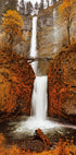 Autumn Waterfall in the Forest Plakat - Posterbox.dk