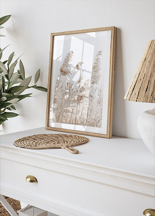 Poster Boho Canne secche nella natura - Posterbox.it