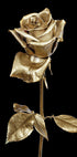 Golden Rose Plakat - Posterbox.dk