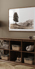 Lone Swiss Pine in the Alps Plakat - Posterbox.dk
