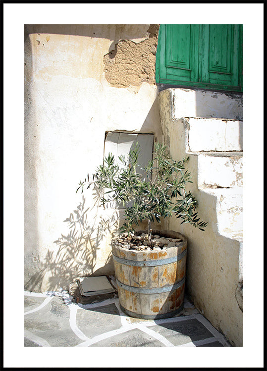 Mediterranean Olive Tree Entrance Plakat - Posterbox.dk