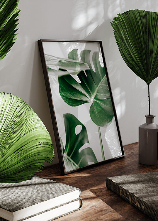 Monstera Leaves Plakat - Posterbox.dk