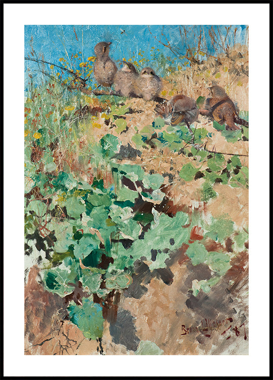 Nestlings of Red-Backed Shrike Plakat - Posterbox.dk