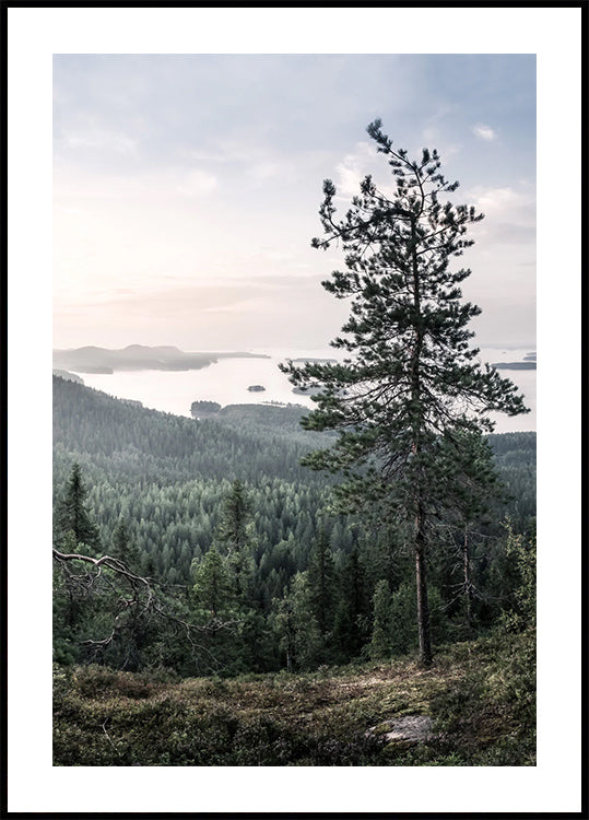 Nordic Forest and Lake View Plakat - Posterbox.dk